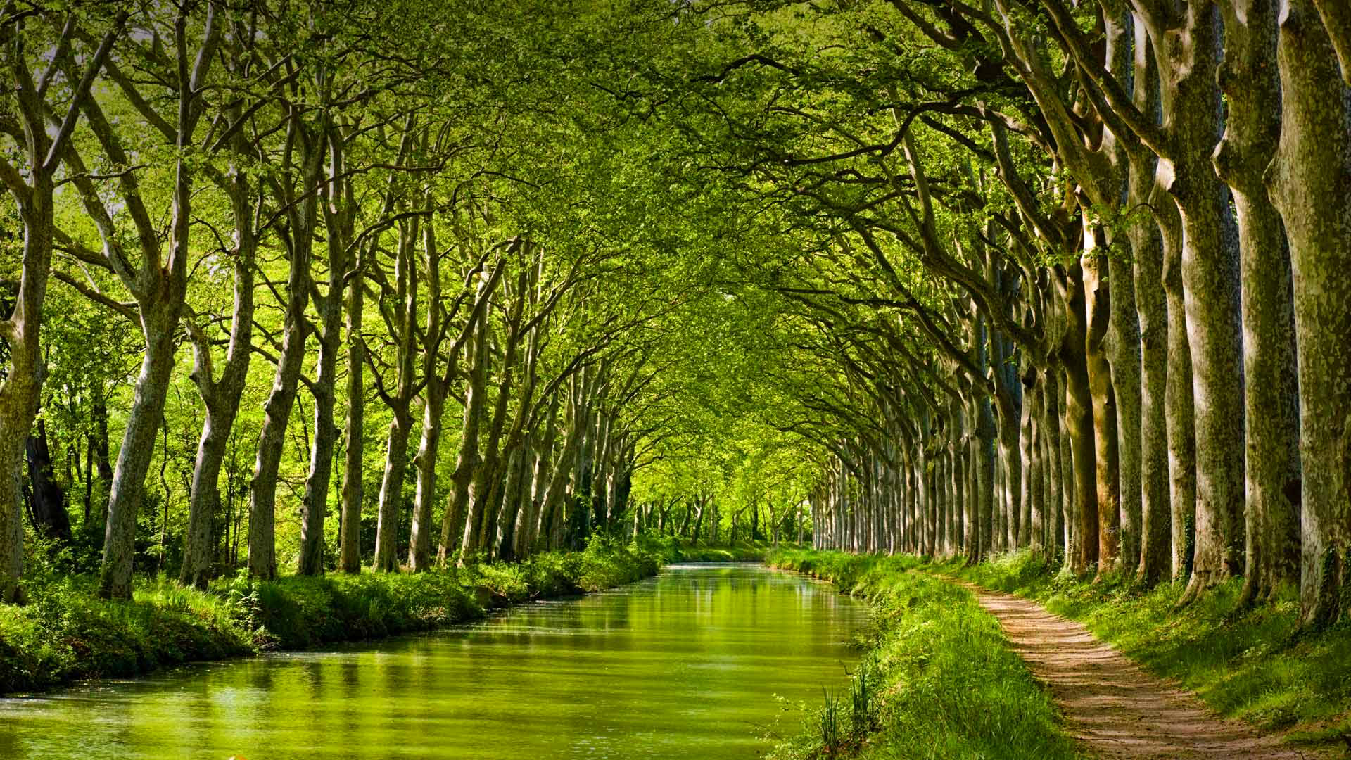 kanal dyu midi tuluza franciya