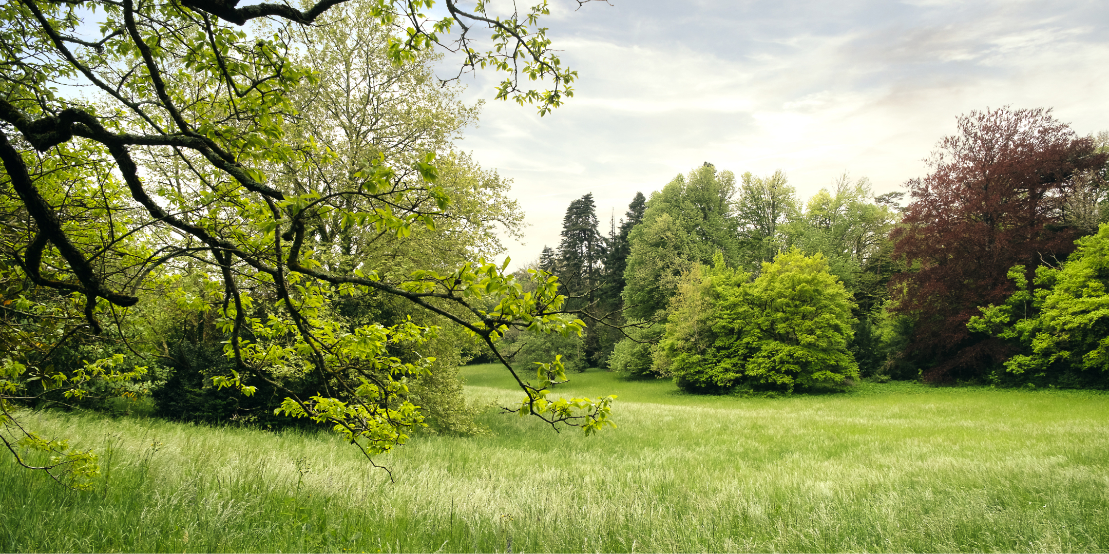 parc activites bg